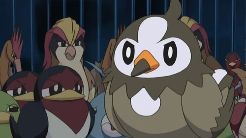 Pokémon - S10E13: A Staravia Is Born!