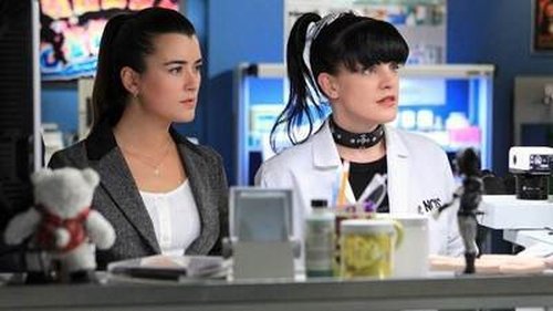 NCIS - S10E18: Seek