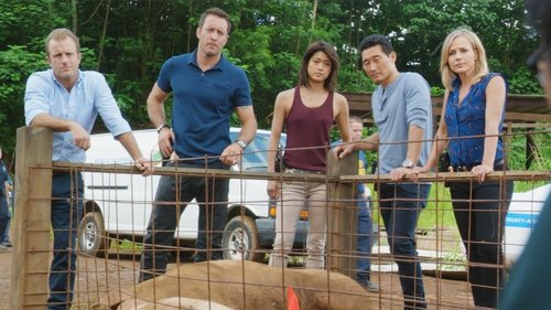 Hawaii Five-0 - S6E9: Hana Keaka (Charade)