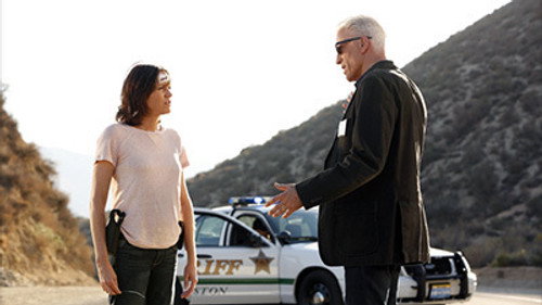 CSI: Crime Scene Investigation - S14E10: Girls Gone Wild