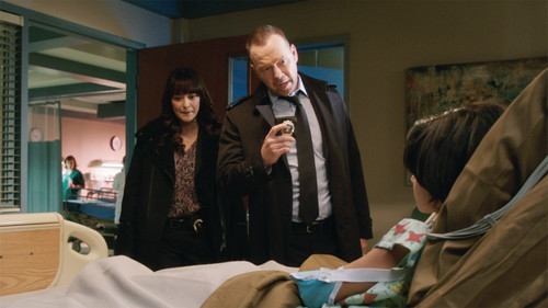Blue Bloods - S7E13: The One That Got Away