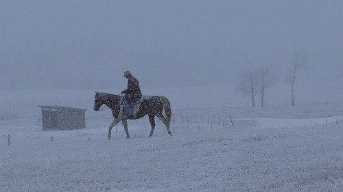 Heartland - S6E18: Under Pressure