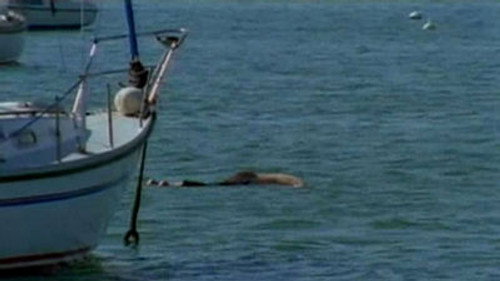 Silent Witness - S8E4: Death by Water (2)