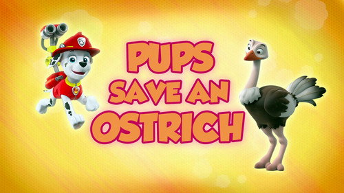 PAW Patrol - S5E2: Pups Save an Ostrich