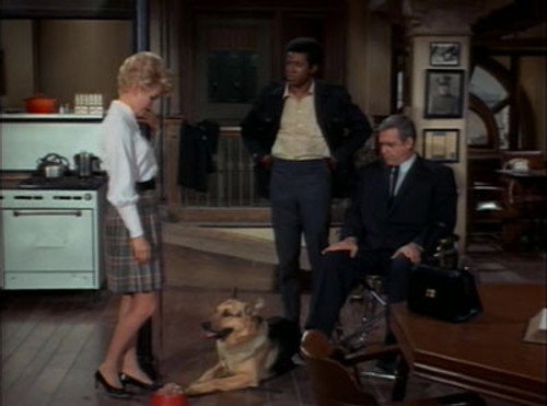 Ironside - S2E12: Sergeant Mike