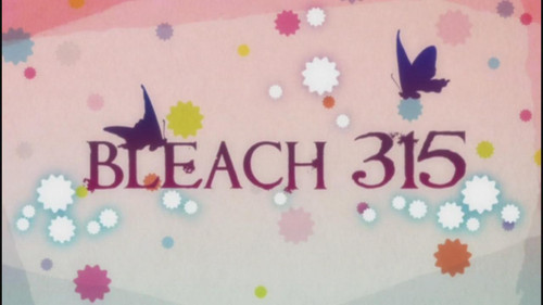 Bleach - S1E315: Yachiru's Friend! The Shinigami of Justice Appears!