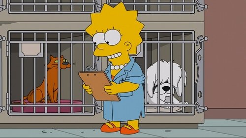 The Simpsons - S27E15: Lisa the Veterinarian
