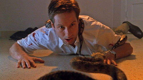 The X-Files - S7E9: Signs and Wonders