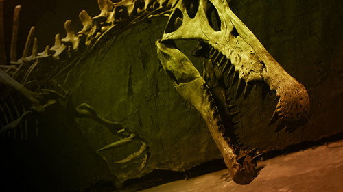 NOVA - S42E7: Bigger Than T. rex