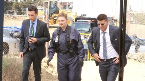 Bones - S12E3: The New Tricks in the Old Dogs