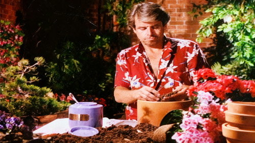 Knots Landing - S9E3: Under Pressure