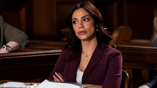 Law & Order - S23E13: In Harm's Way