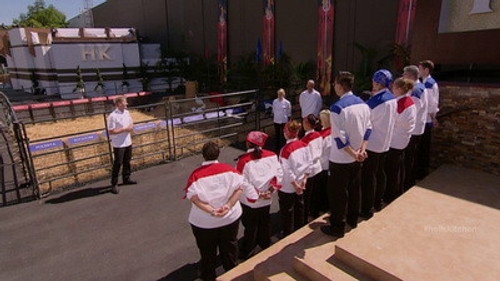 Hell's Kitchen - S11E8: 14 Chefs Compete