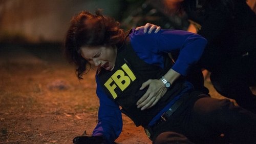 The Mentalist - S6E20: Il Tavolo Bianco