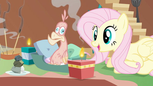 My Little Pony: Friendship Is Magic - S1E22: A Bird in the Hoof