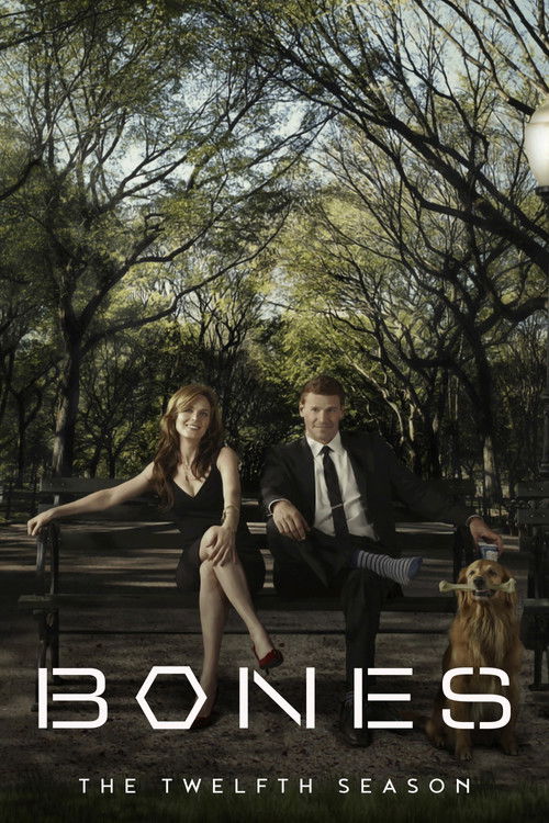 Season 12 - The Final Chapter