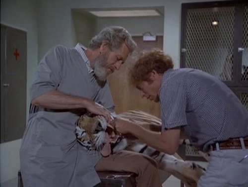Quincy, M.E. - S4E1: The Last Six Hours
