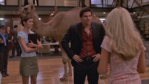 Angel - S5E9: Harm's Way