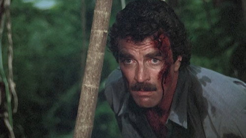 Magnum, P.I. - S7E14: Murder by Night