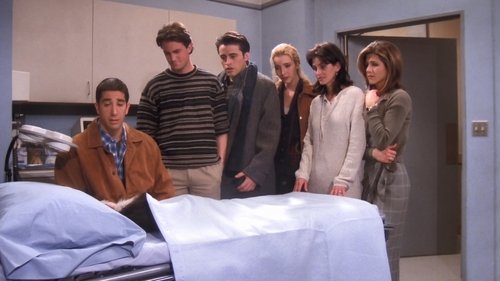 Friends - S1E17: The One with Two Parts (2)