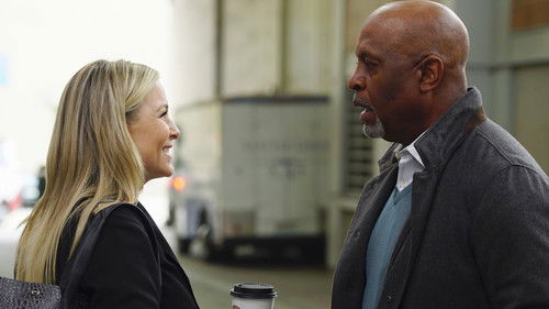 Grey's Anatomy - S12E21: You're Gonna Need Someone on Your Side