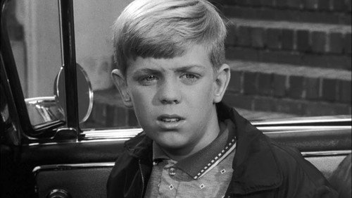 Perry Mason - S4E6: The Case of the Wandering Widow