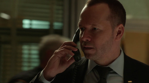 Blue Bloods - S6E2: Absolute Power