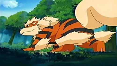 Pokémon - S8E47: On Cloud Arcanine