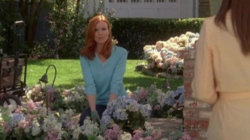 Desperate Housewives - S7E21: Then I Really Got Scared