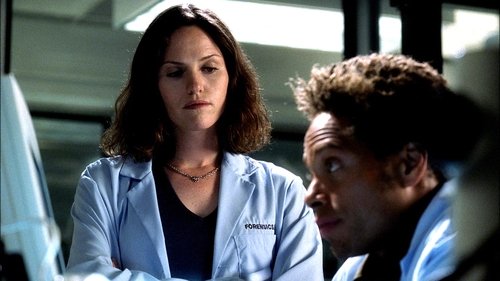 CSI: Crime Scene Investigation - S2E3: Overload