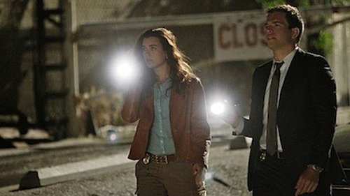 NCIS - S7E22: Borderland