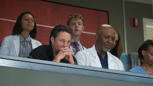 Grey's Anatomy - S14E1: Break Down the House