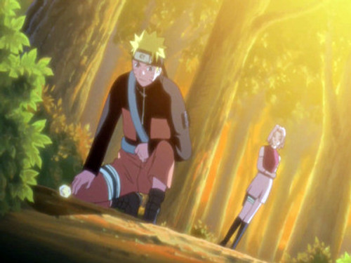 Naruto Shippūden - S5E112: The Place to Return To