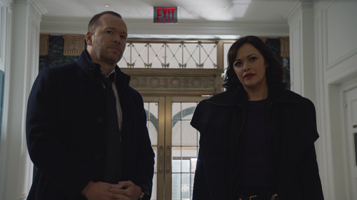 Blue Bloods - S11E10: The Common Good