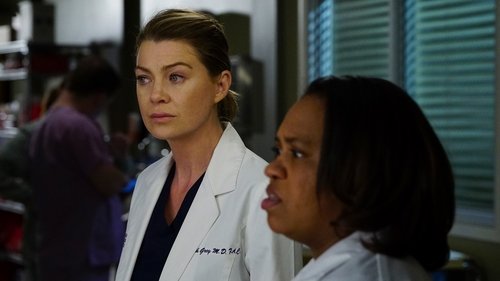 Grey's Anatomy - S12E18: There’s a Fine, Fine Line