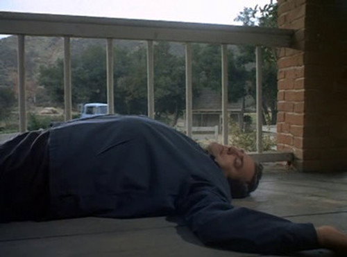 Ironside - S1E1: Ironside