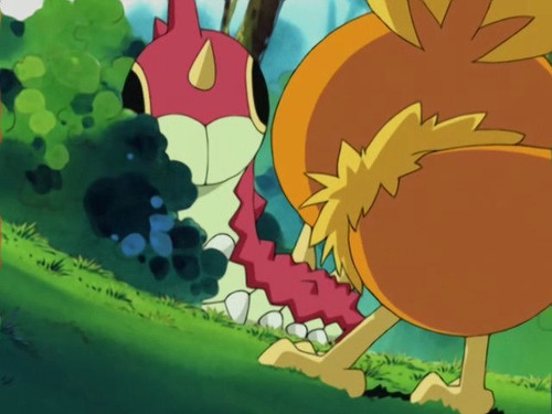 Pokémon - S6E14: All in a Day's Wurmple