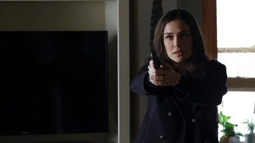 The Blacklist - S8E14: Misère