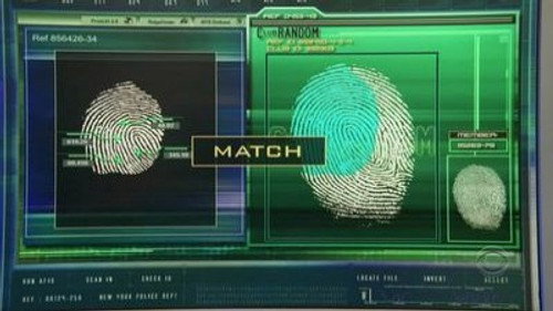 CSI: NY - S3E21: Past Imperfect