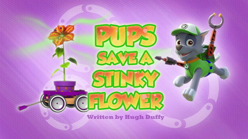PAW Patrol - S3E32: Pups Save a Stinky Flower