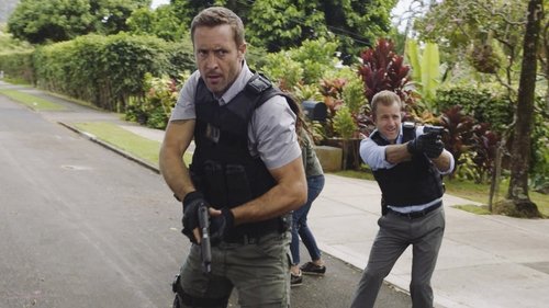 Hawaii Five-0 - S8E21: Ahuwale ka nane huna (The Answer to the Riddle Is Seen)