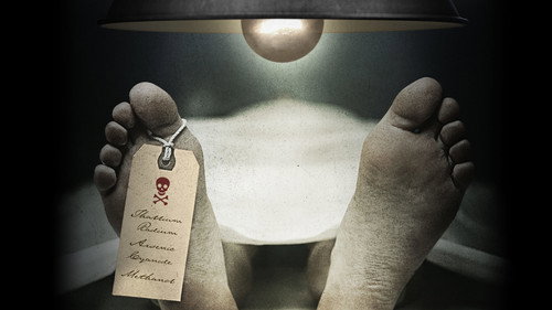 American Experience - S26E1: The Poisoner's Handbook
