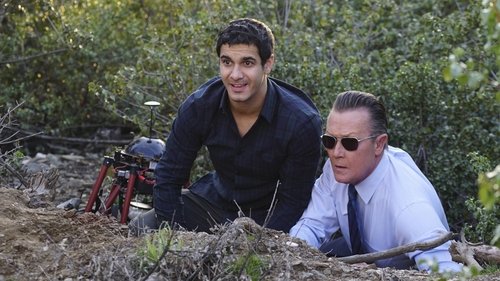 Scorpion - S2E17: Adaptation