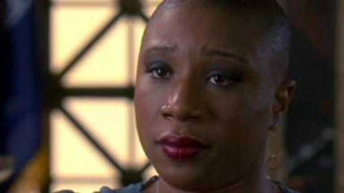 Law & Order: Special Victims Unit - S10E14: Transitions