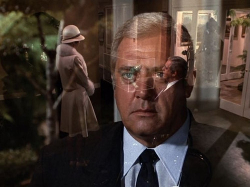 Ironside - S7E3: In the Forests of the Night