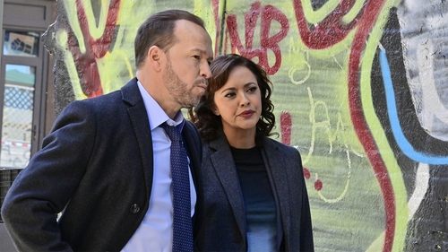 Blue Bloods - S12E7: USA Today