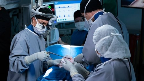 Grey's Anatomy - S15E21: Good Shepherd