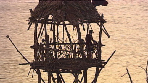 Survivor - S14E10: It's a Turtle?!