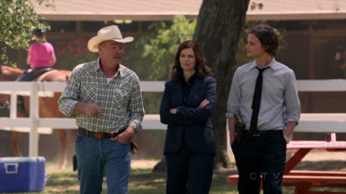 Criminal Minds - S8E3: Through the Looking Glass