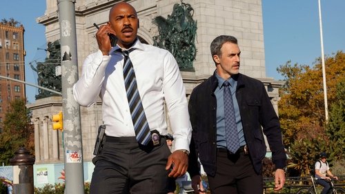 Law & Order - S24E9: Enemy of the State